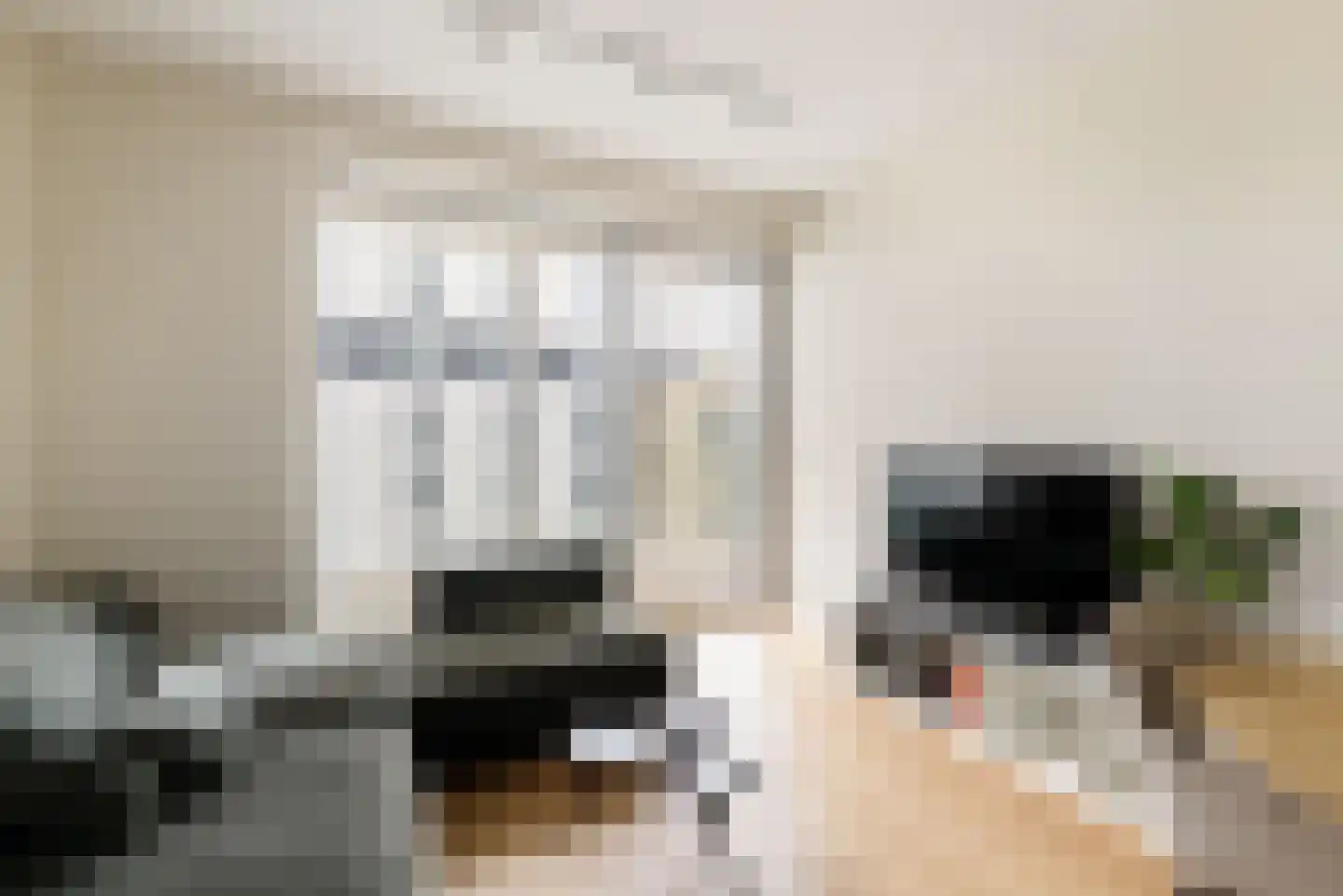 Dijkmeerlaan 456 Amsterdam thumbnail 10