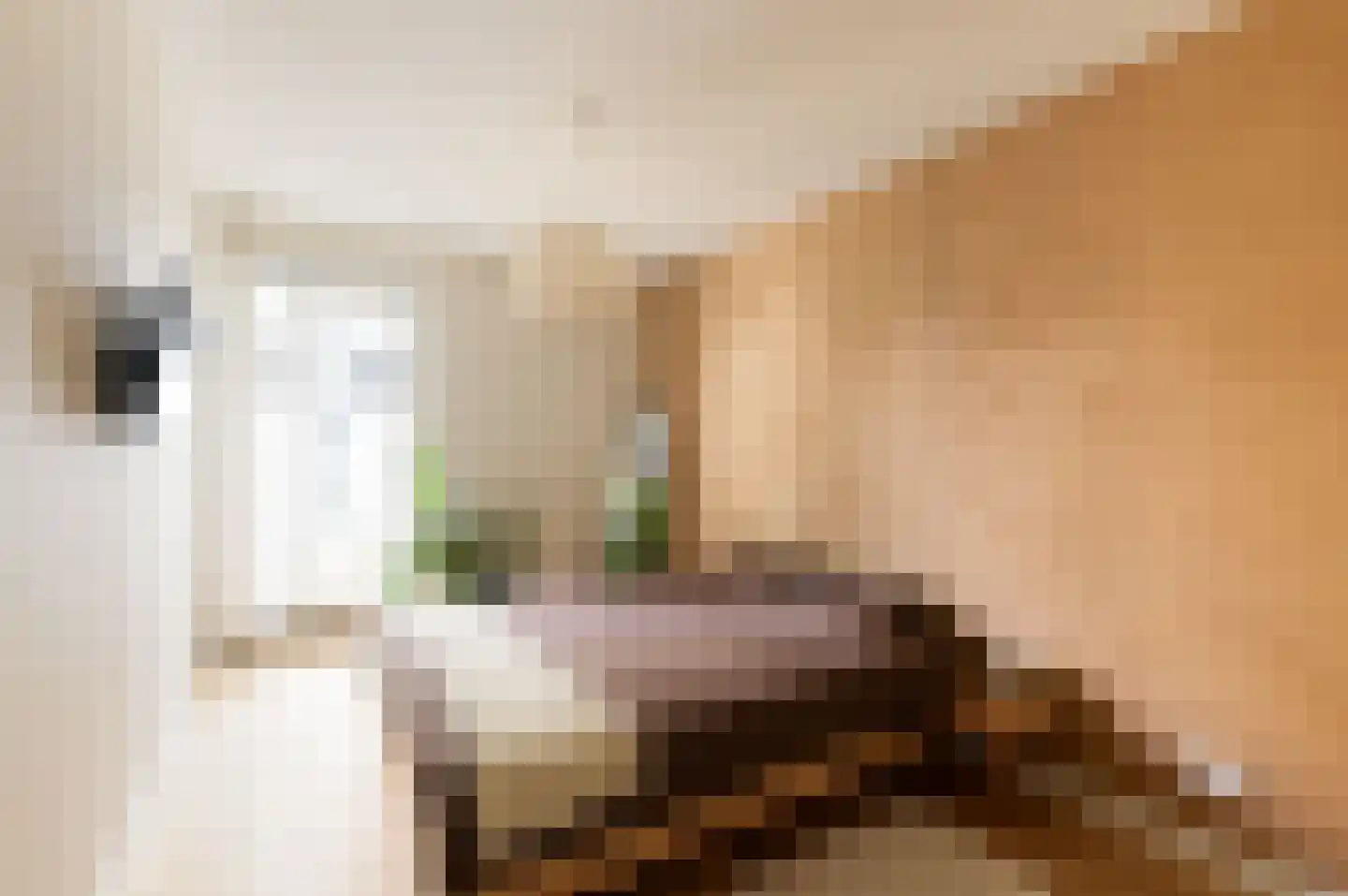 Dijkmeerlaan 456 Amsterdam thumbnail 19