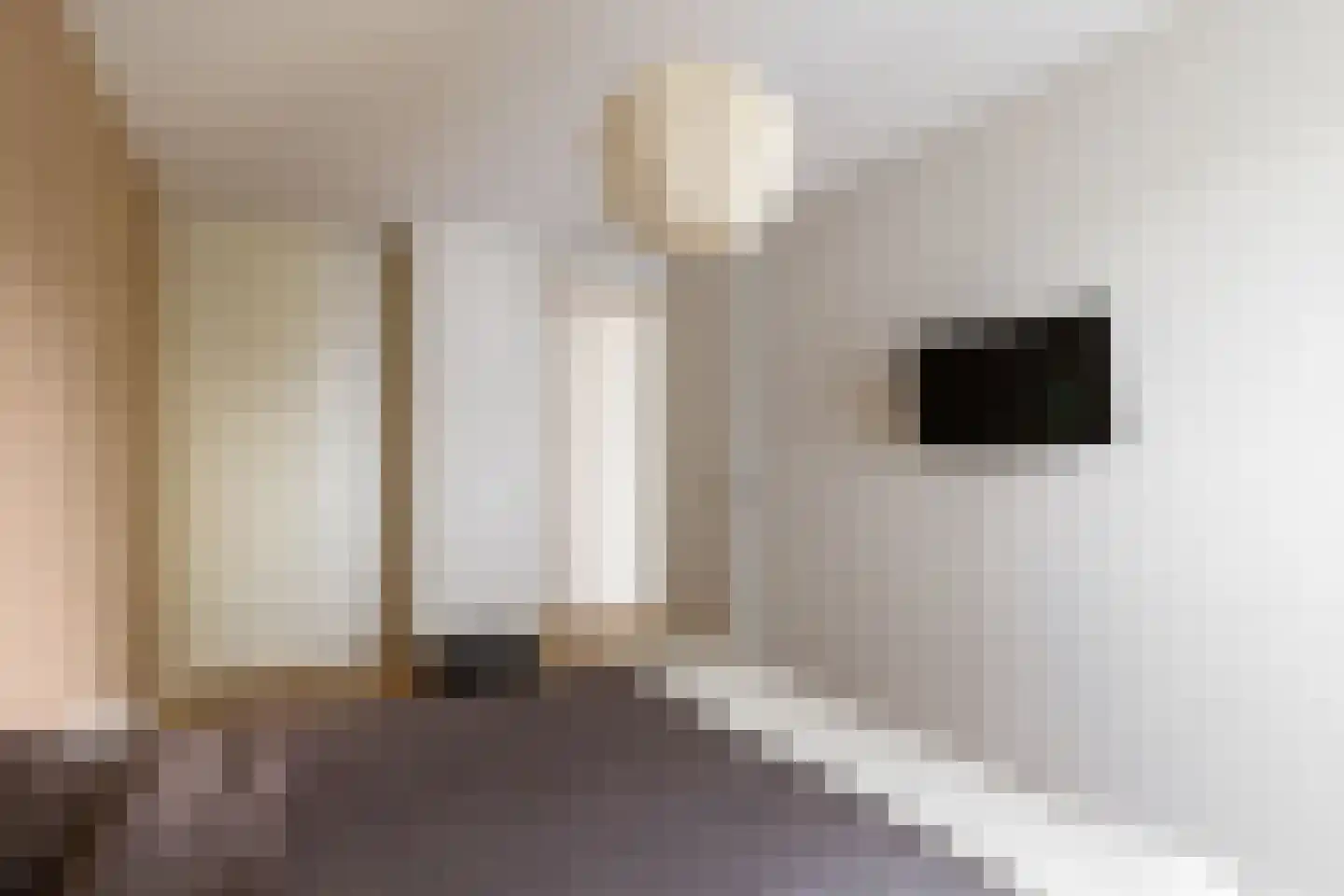 Dijkmeerlaan 456 Amsterdam thumbnail 20