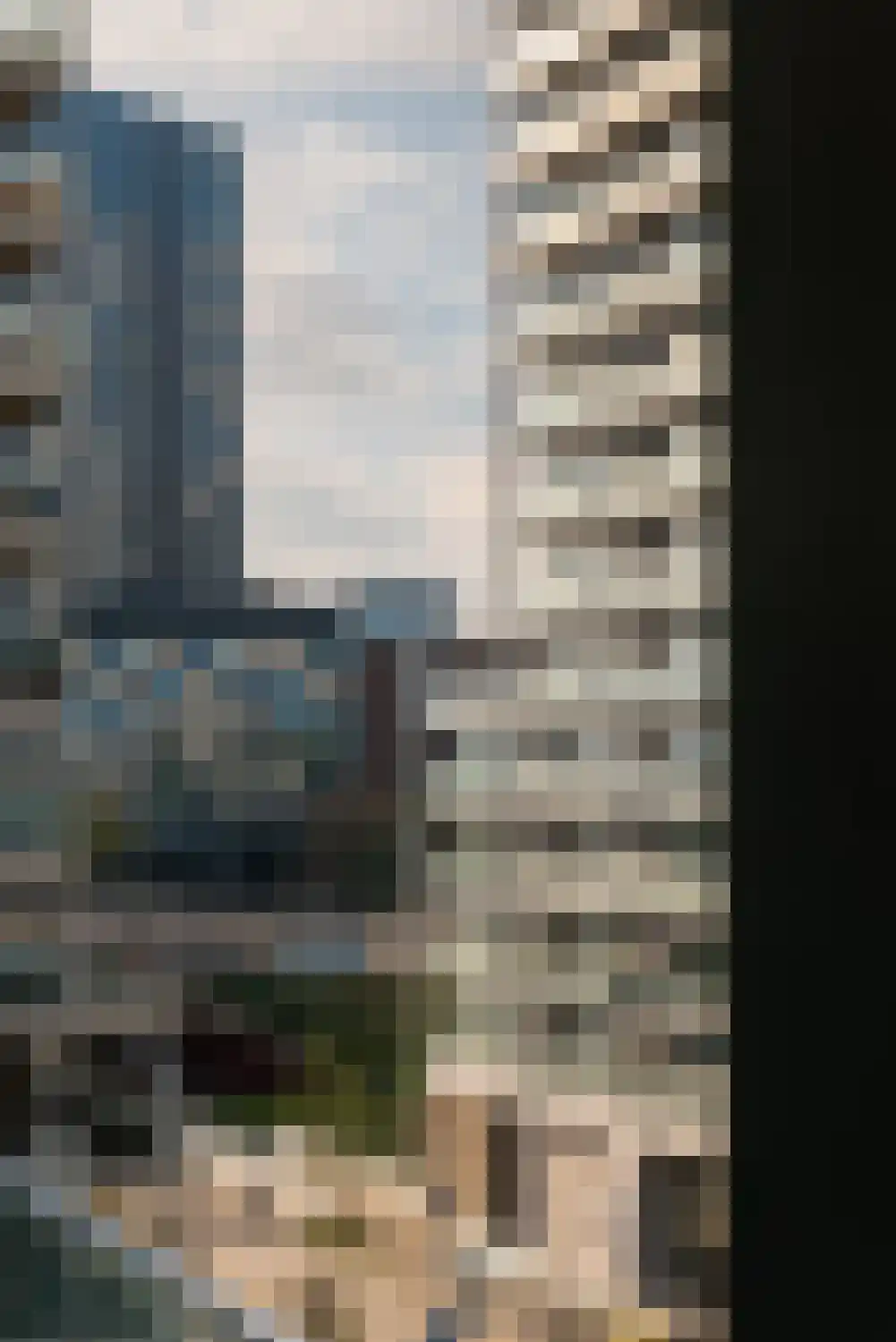 Dijkmeerlaan 456 Amsterdam thumbnail 24