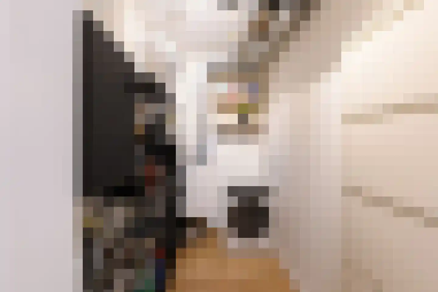 Dijkmeerlaan 456 Amsterdam thumbnail 25
