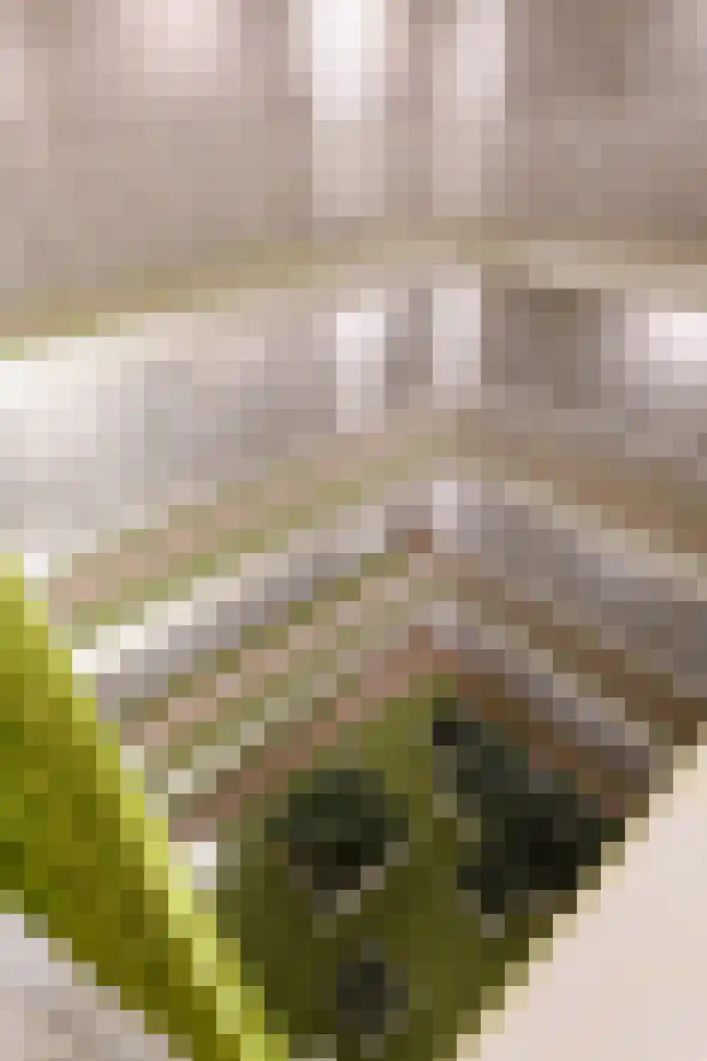 Dijkmeerlaan 456 Amsterdam thumbnail 26