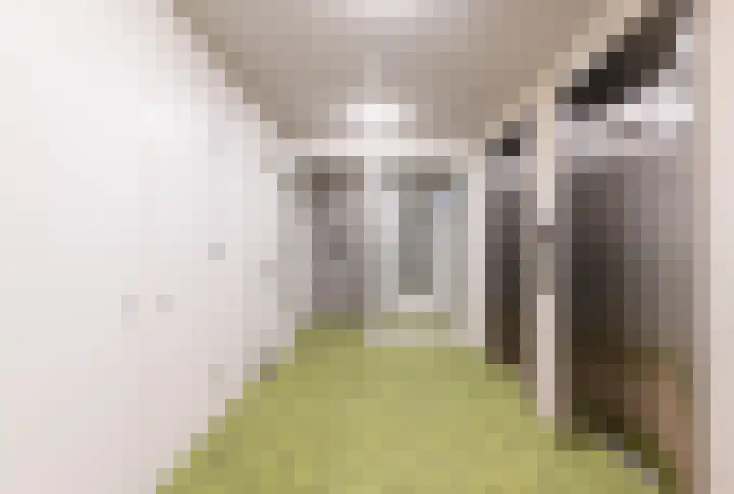 Dijkmeerlaan 456 Amsterdam thumbnail 28
