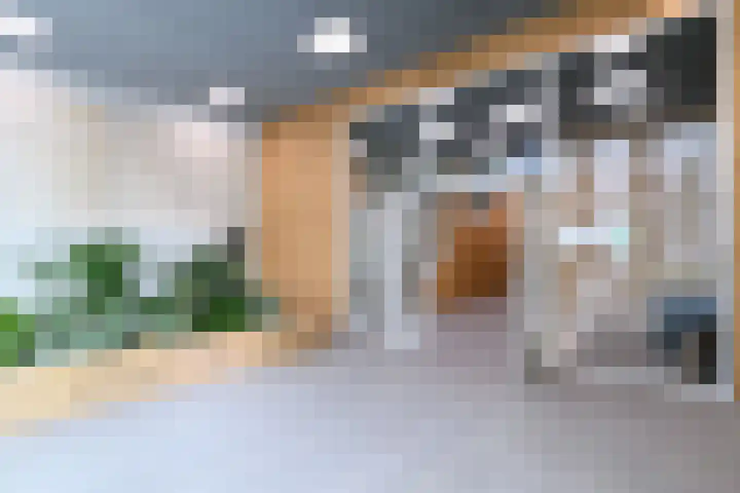 Dijkmeerlaan 456 Amsterdam thumbnail 29