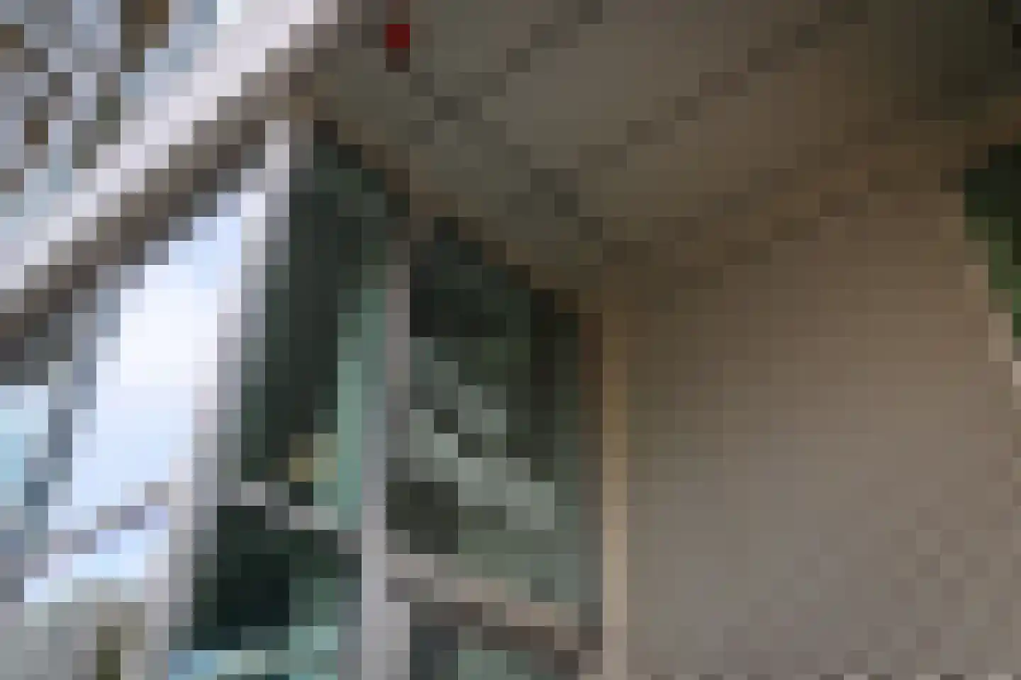 Dijkmeerlaan 456 Amsterdam thumbnail 30