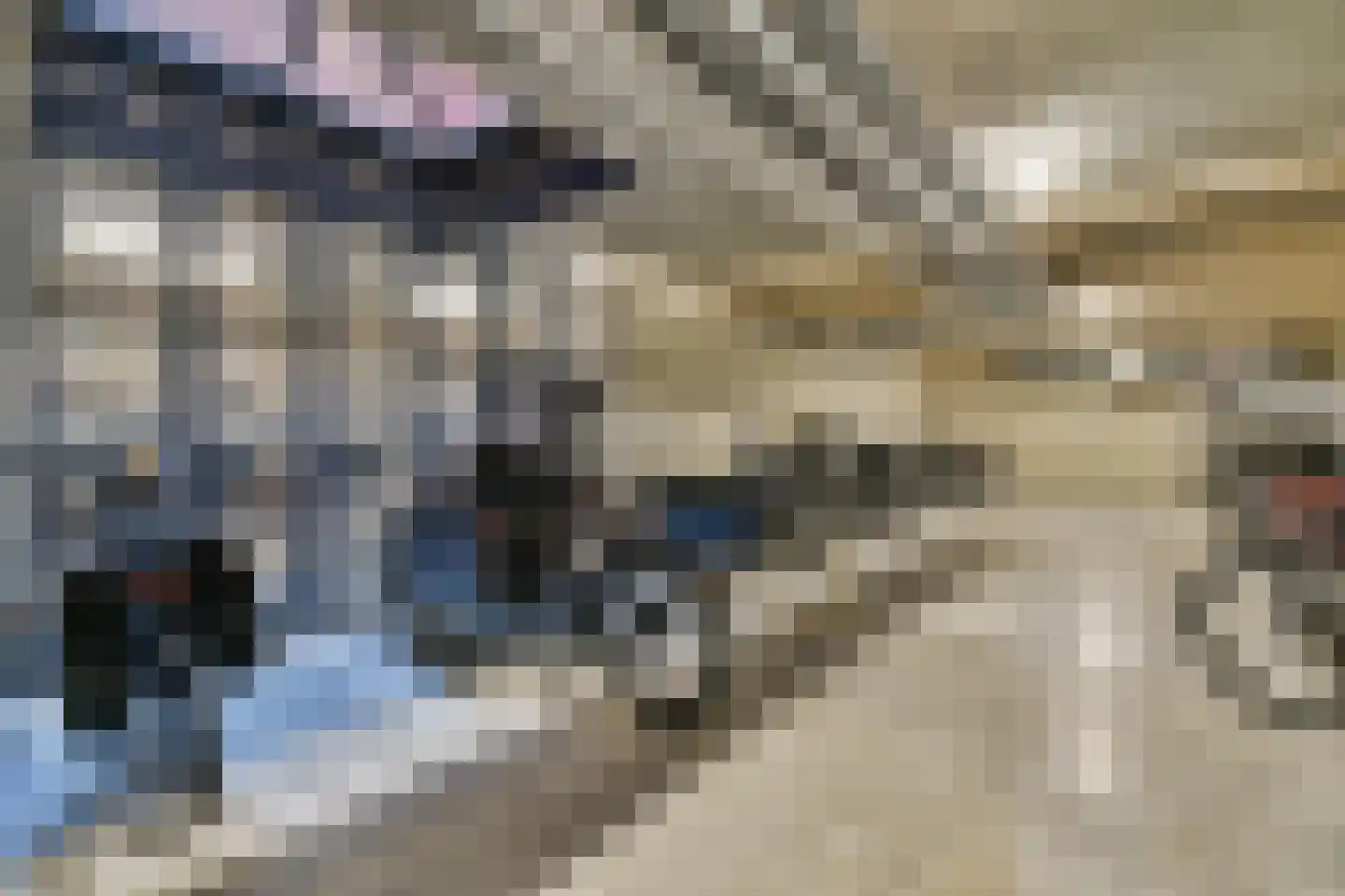 Dijkmeerlaan 50 Amsterdam thumbnail 19
