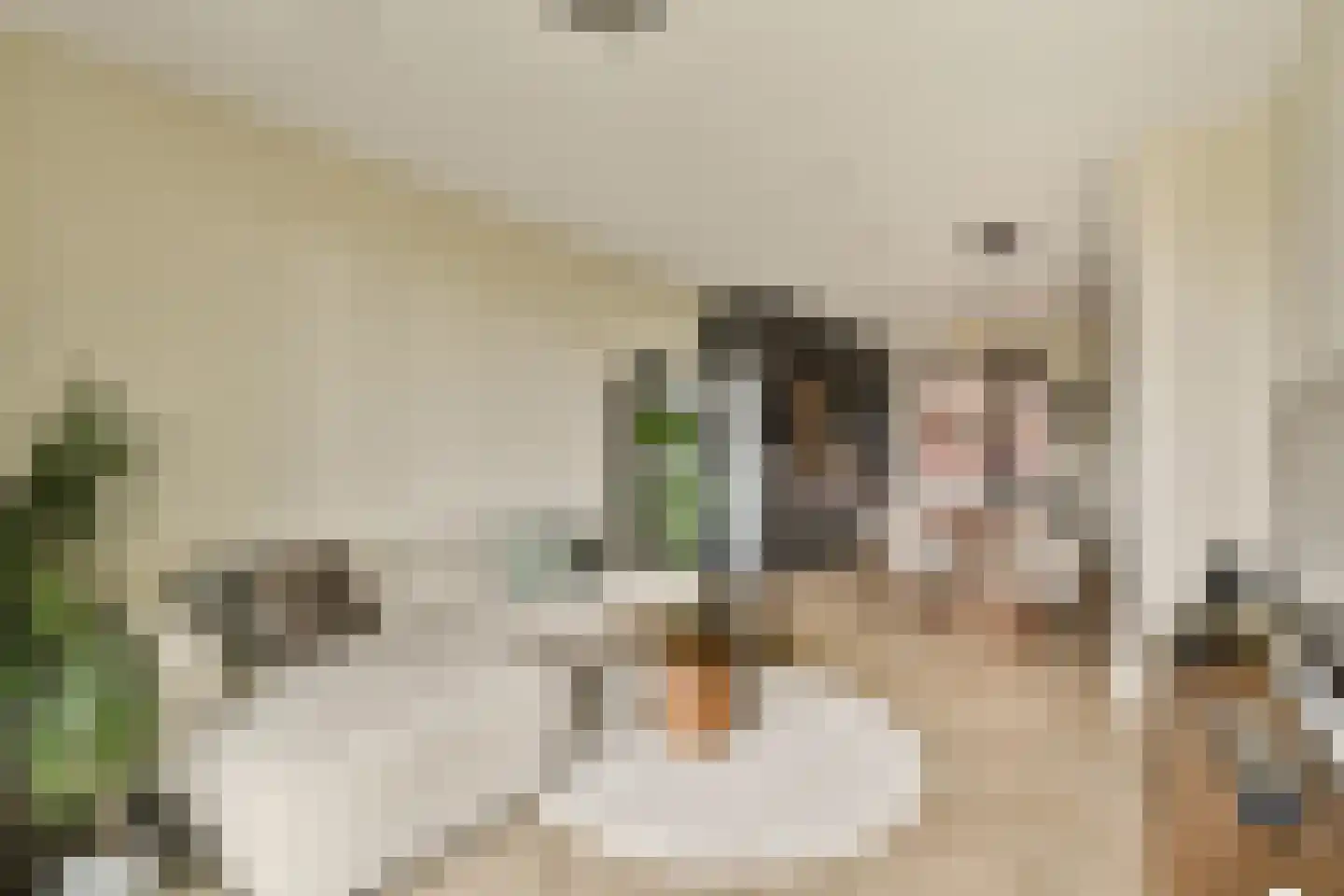 Dijkmeerlaan 50 Amsterdam thumbnail 8
