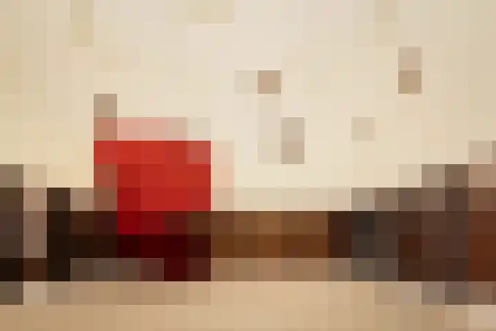 Dijkmeerlaan 511 Amsterdam thumbnail 20
