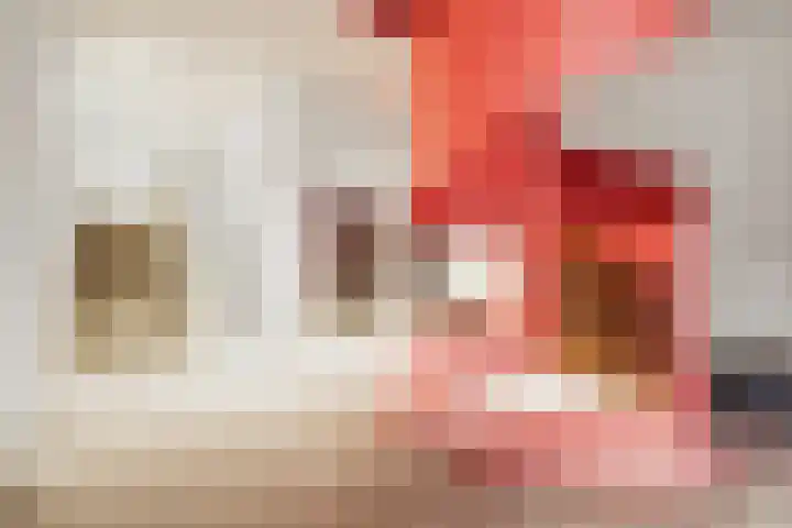 Dijkmeerlaan 56 Amsterdam thumbnail 19