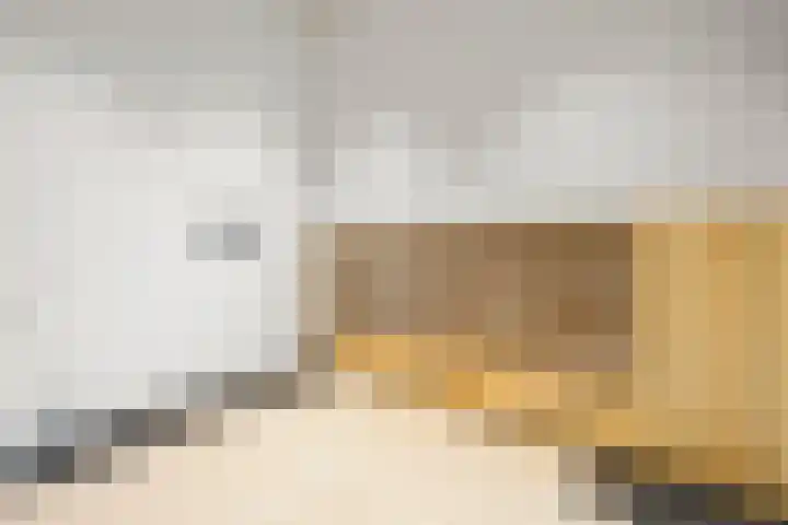 Dijkmeerlaan 56 Amsterdam thumbnail 20