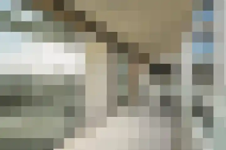 Dijkmeerlaan 56 Amsterdam thumbnail 7