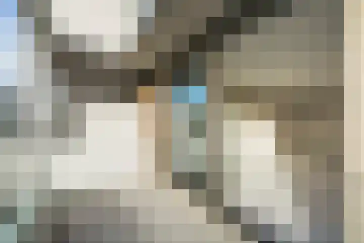 Dijkmeerlaan 56 Amsterdam thumbnail 8
