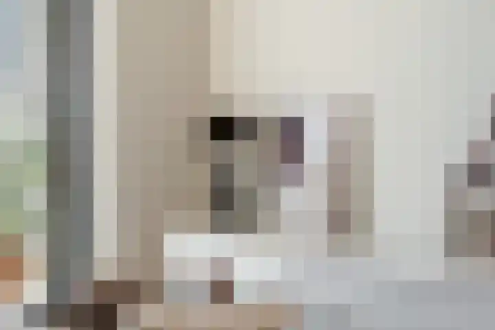 Dijkmeerlaan 78 Amsterdam thumbnail 19