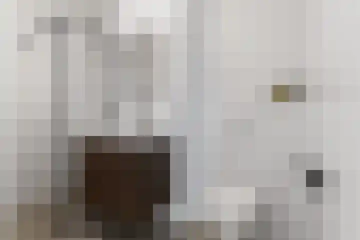 Dijkmeerlaan 78 Amsterdam thumbnail 24