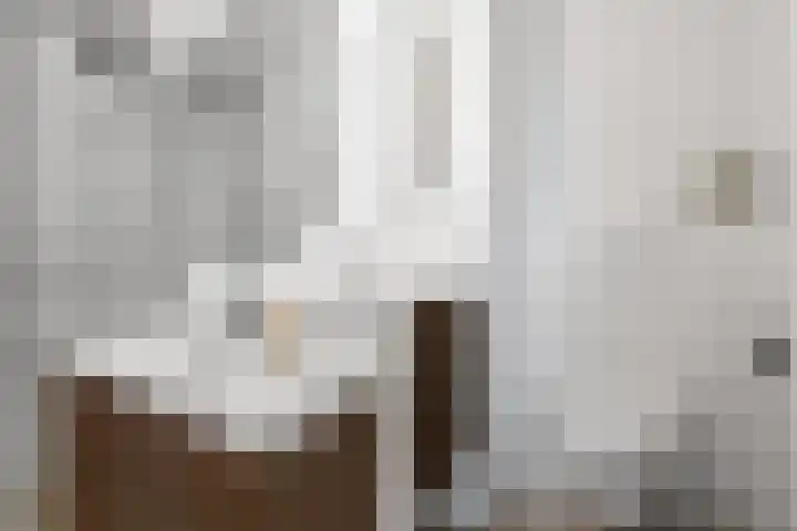 Dijkmeerlaan 78 Amsterdam thumbnail 26
