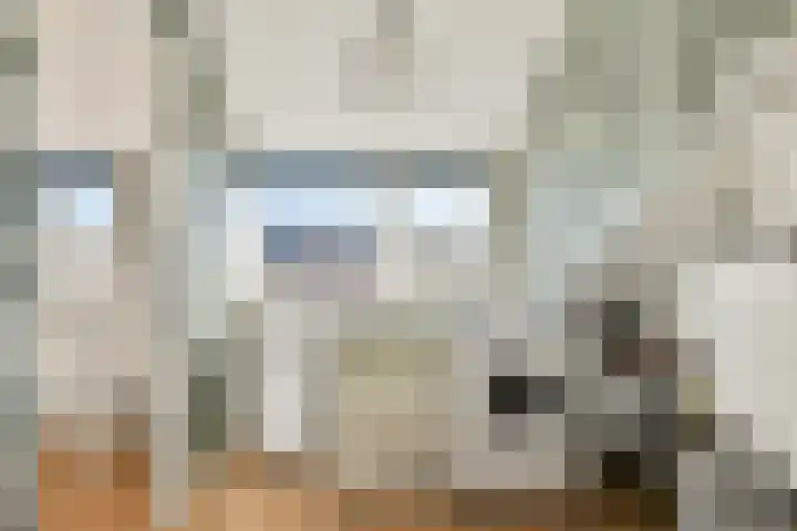 Dijkmeesterstraat 12 Hendrik-Ido-Ambacht thumbnail 21
