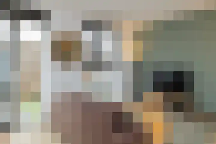 Dijkoever 27 Hillegom thumbnail 12