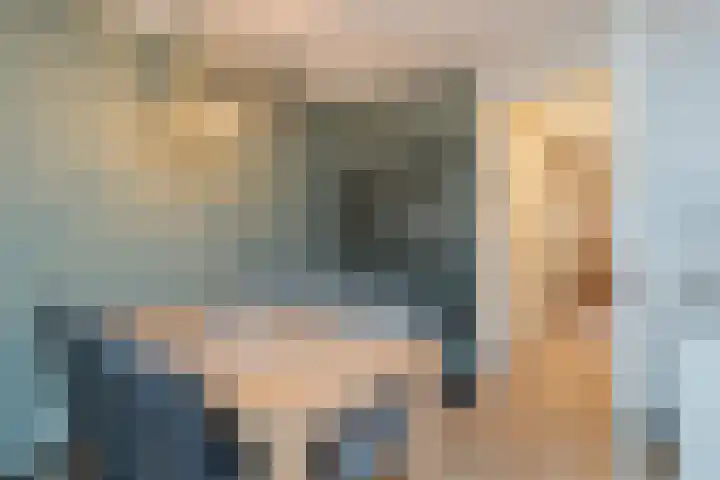 Dijkoever 27 Hillegom thumbnail 13