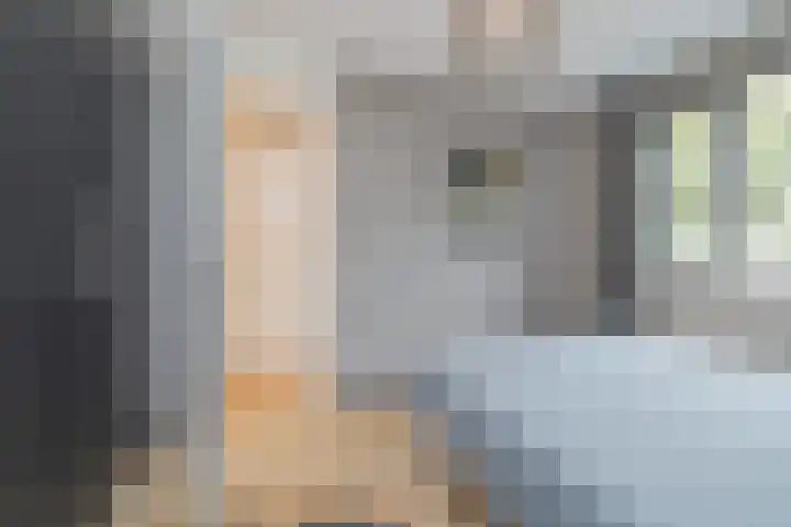 Dijkoever 27 Hillegom thumbnail 15