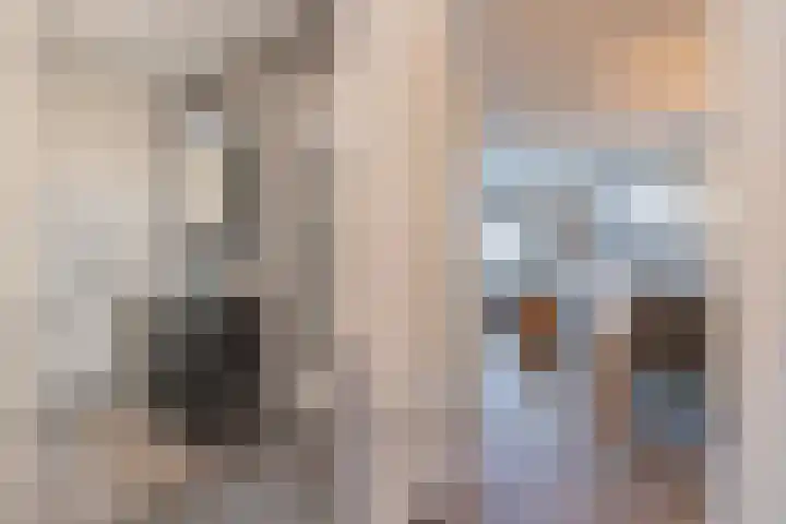 Dijkoever 27 Hillegom thumbnail 16