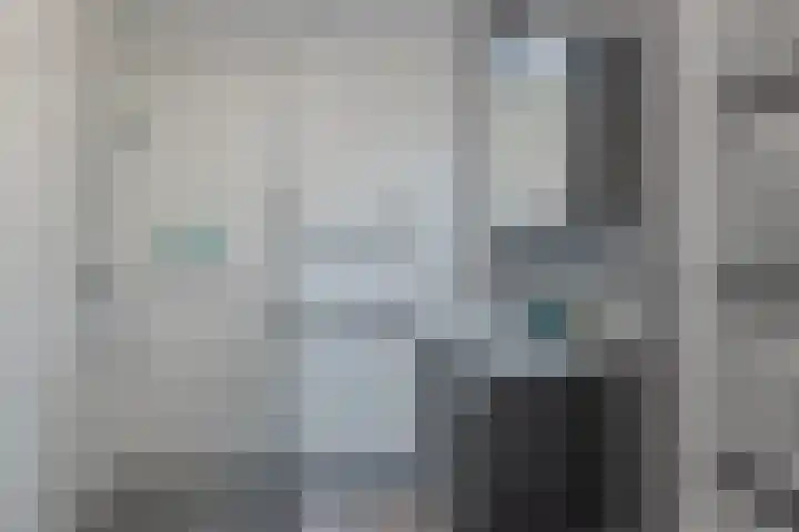 Dijkoever 27 Hillegom thumbnail 17