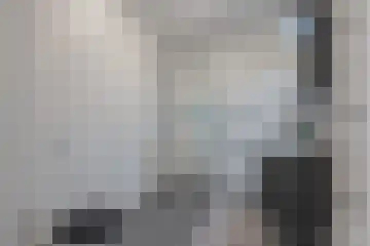 Dijkoever 27 Hillegom thumbnail 18
