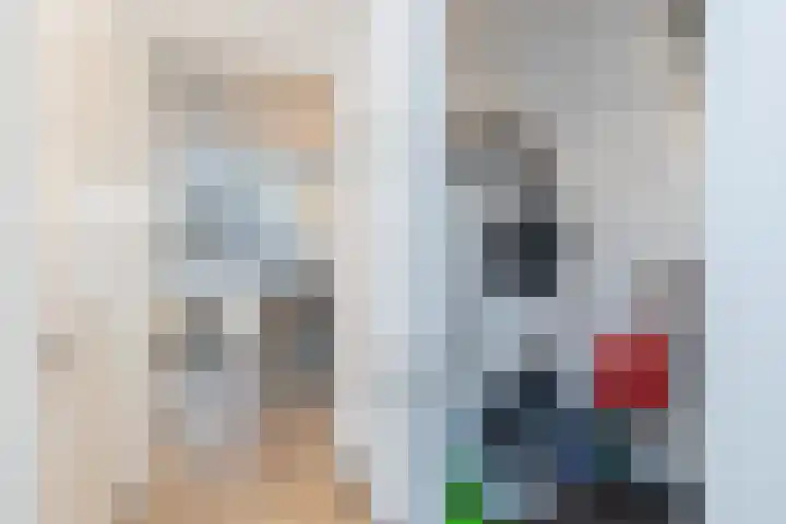 Dijkoever 27 Hillegom thumbnail 20
