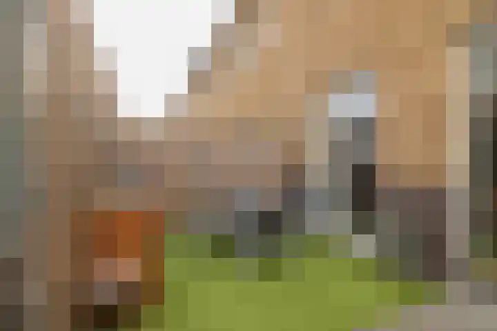 Dijkoever 27 Hillegom thumbnail 22