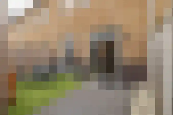 Dijkoever 27 Hillegom thumbnail 23