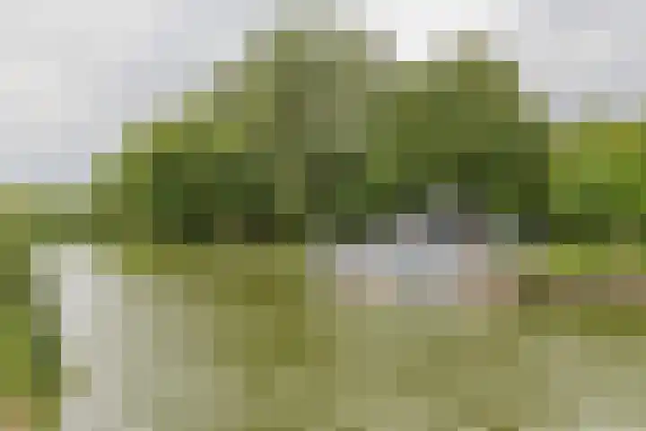 Dijkoever 27 Hillegom thumbnail 25