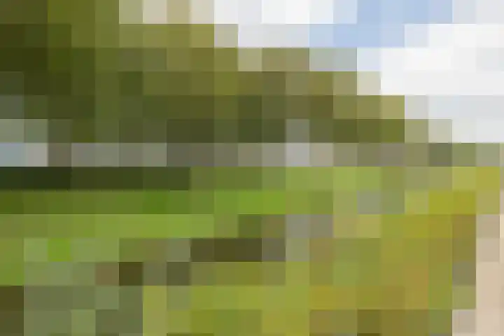 Dijkoever 27 Hillegom thumbnail 26
