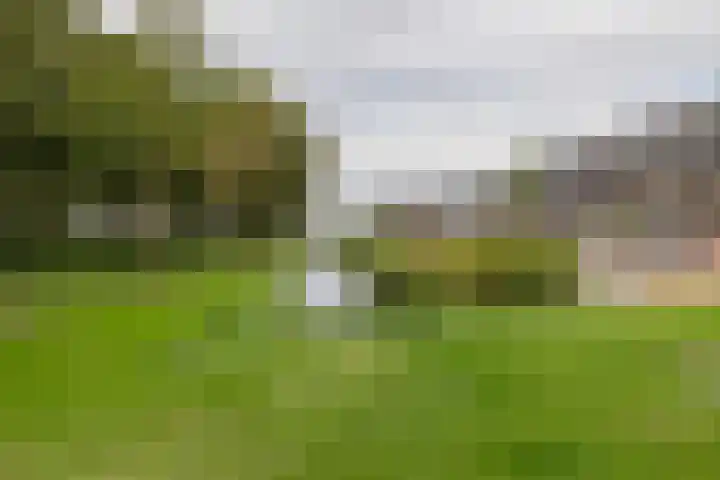 Dijkoever 27 Hillegom thumbnail 27
