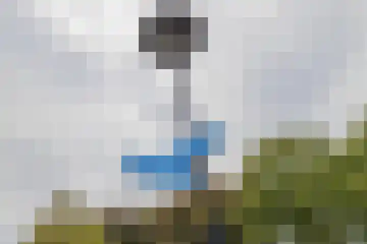 Dijkoever 27 Hillegom thumbnail 28