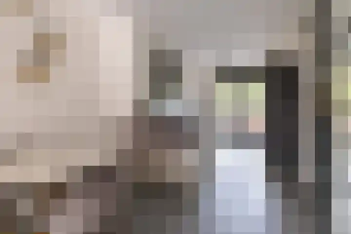 Dijkoever 31 Hillegom thumbnail 10