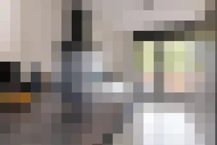 Dijkoever 31 Hillegom thumbnail 11