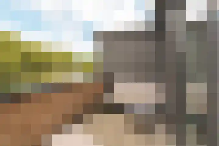 Dijkoever 31 Hillegom thumbnail 14