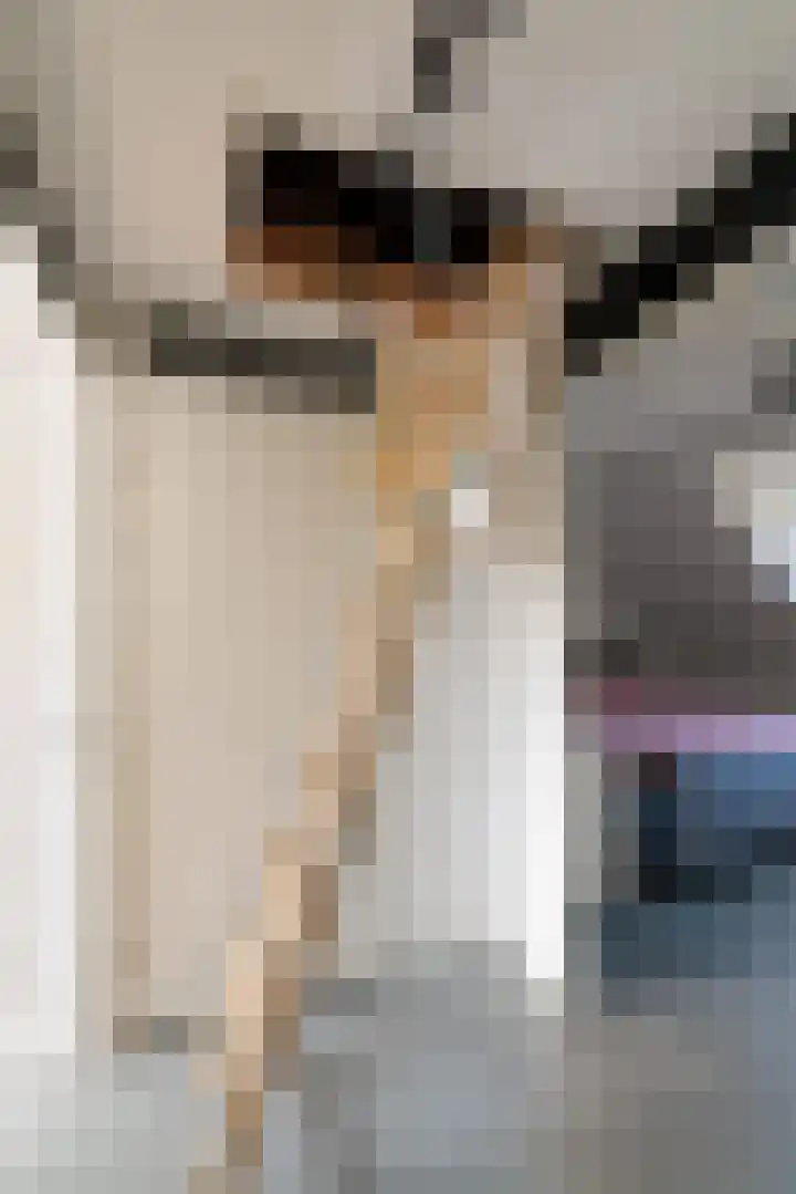 Dijkoever 31 Hillegom thumbnail 27