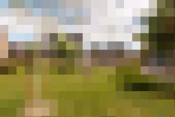 Dijkoever 31 Hillegom thumbnail 30