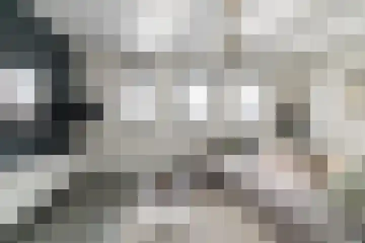 Dijkoever 31 Hillegom thumbnail 8