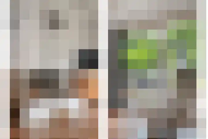Dijkplan 3 Steenbergen thumbnail 10