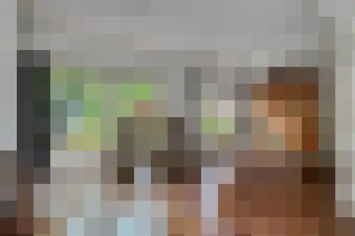 Dijkplan 3 Steenbergen thumbnail 12