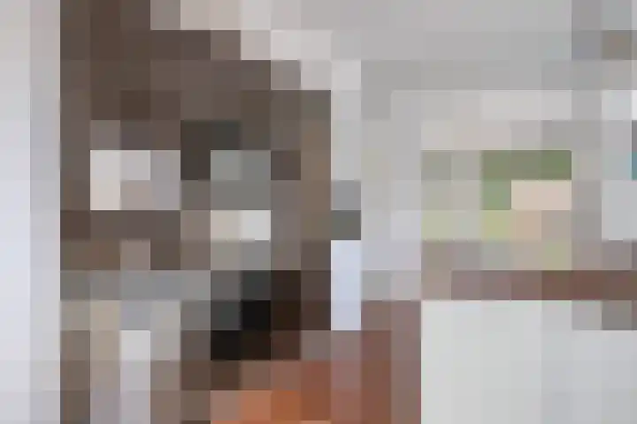 Dijkplan 3 Steenbergen thumbnail 19