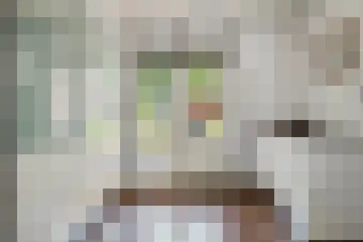 Dijkplan 3 Steenbergen thumbnail 22