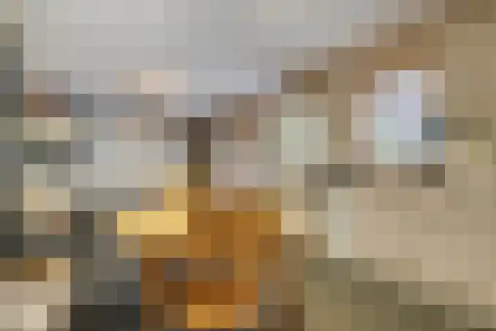 Dijkplan 3 Steenbergen thumbnail 24