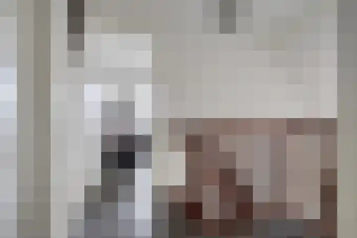 Dijkplan 3 Steenbergen thumbnail 28