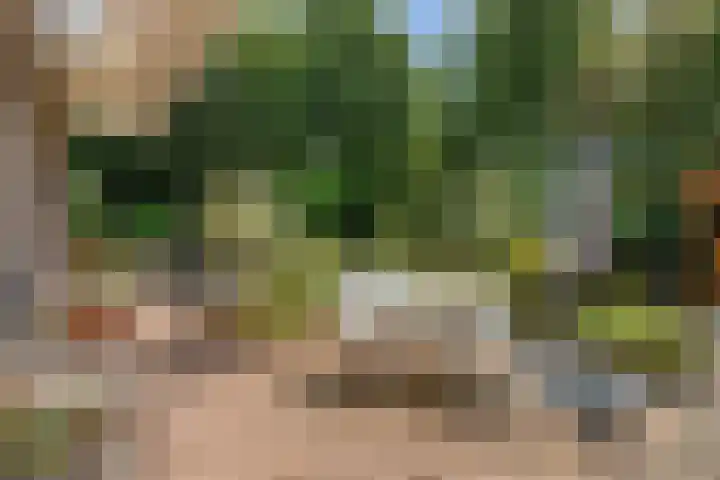 Dijkplan 3 Steenbergen foto 3