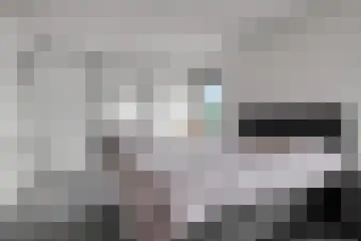 Dijkplan 3 Steenbergen thumbnail 30