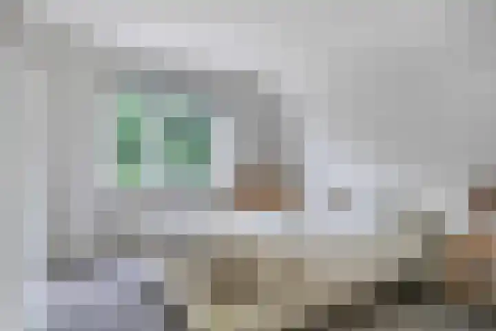 Dijkplan 3 Steenbergen thumbnail 32