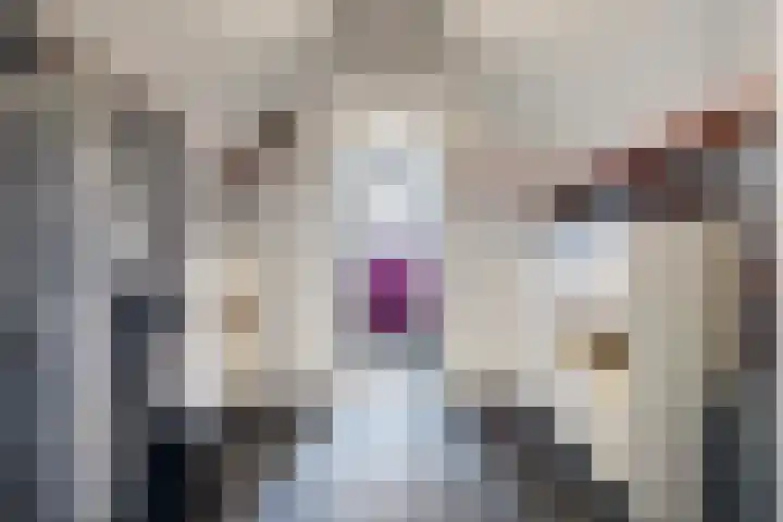 Dijkplan 3 Steenbergen thumbnail 41