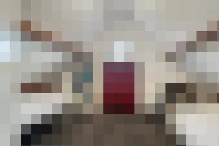 Dijkplan 3 Steenbergen thumbnail 42